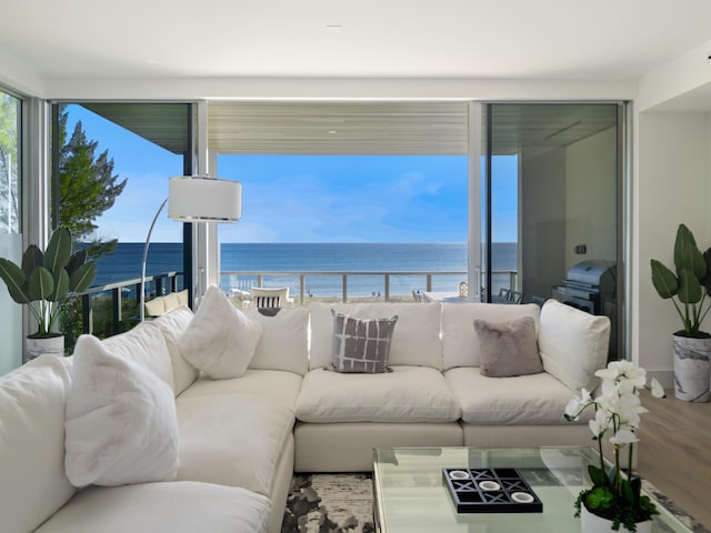 living room featuring hardwood / wood-style flooring and a water view