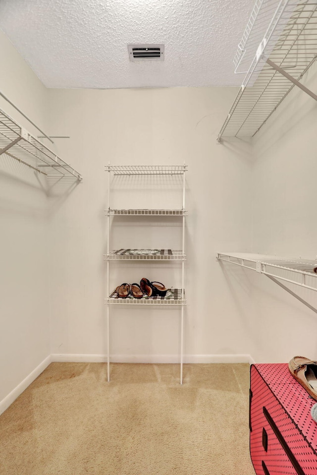 spacious closet with carpet flooring