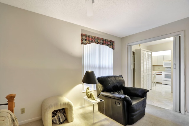 living area with a textured ceiling