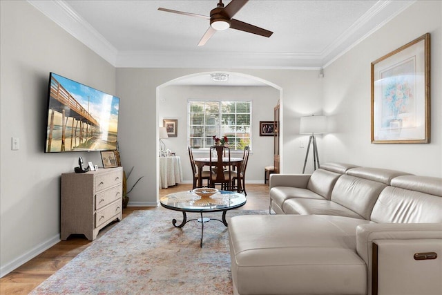 living room with light hardwood / wood-style flooring, ceiling fan, and ornamental molding