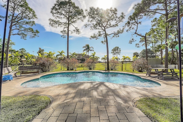 view of pool featuring a patio