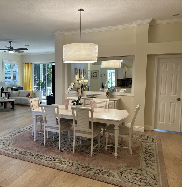 living room with crown molding, plenty of natural light, ceiling fan, and light wood-type flooring