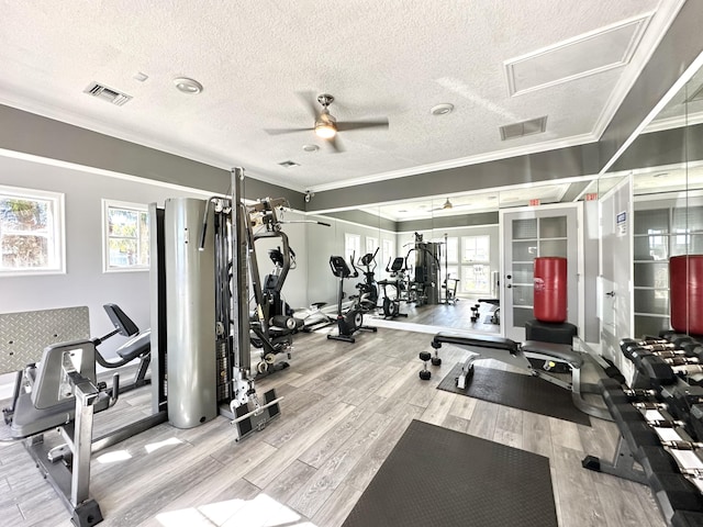 workout area featuring a textured ceiling, light hardwood / wood-style floors, plenty of natural light, and ornamental molding