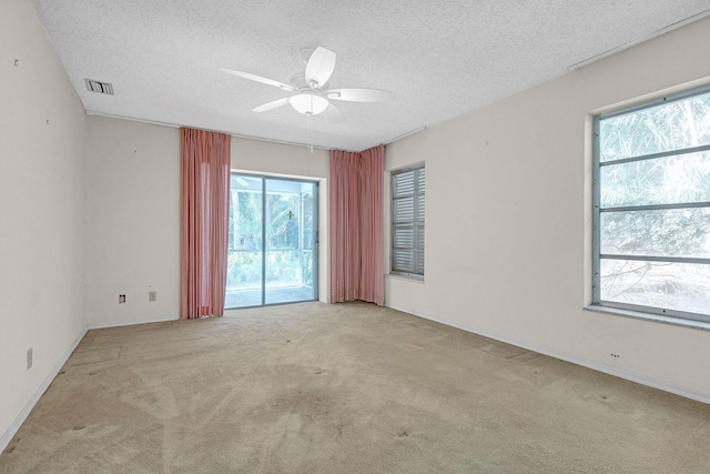 spare room featuring plenty of natural light, light colored carpet, and a textured ceiling