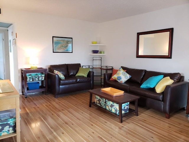 living room featuring hardwood / wood-style floors