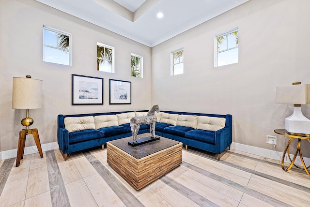 living room featuring crown molding