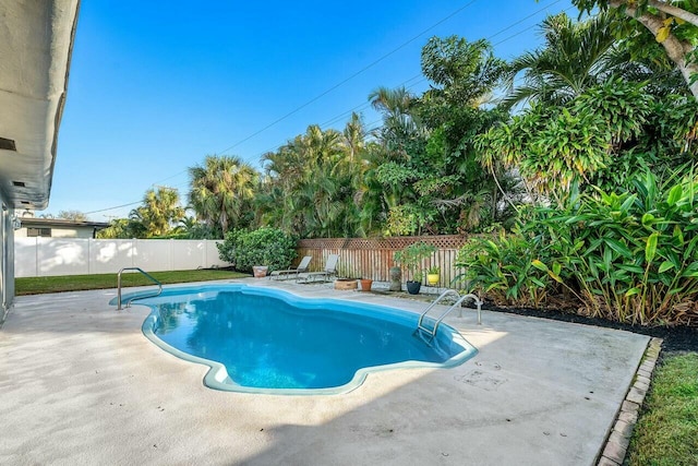 view of swimming pool featuring a patio