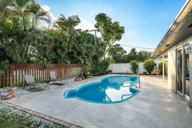 view of swimming pool featuring a patio area