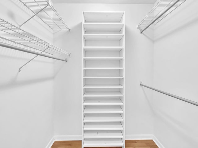 walk in closet with hardwood / wood-style flooring