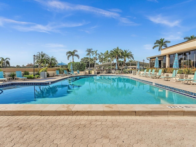 view of swimming pool with a patio