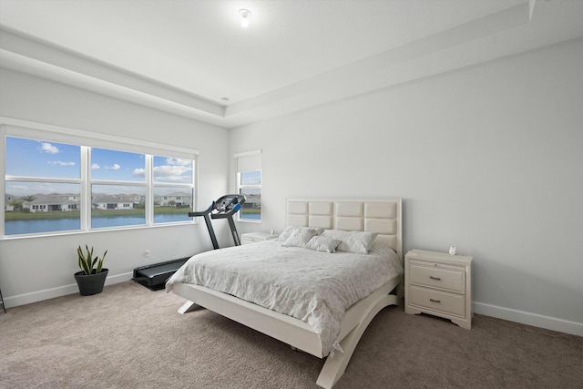 carpeted bedroom with a water view and a raised ceiling