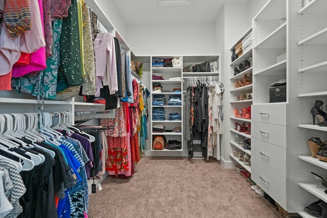 carpeted bedroom with a closet, a spacious closet, connected bathroom, and a tray ceiling