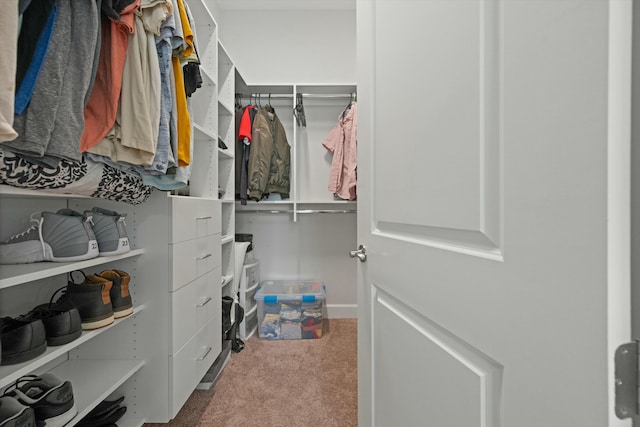 spacious closet with carpet flooring