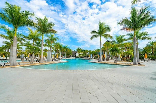 view of swimming pool featuring a patio