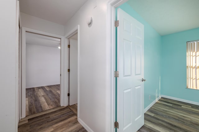 hallway with dark wood-type flooring