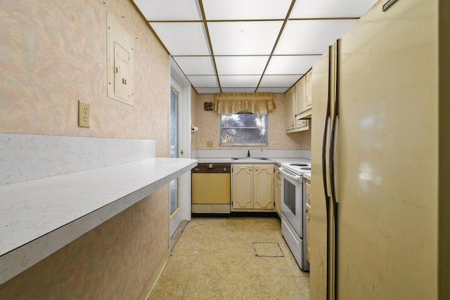 kitchen with sink, a drop ceiling, and white appliances