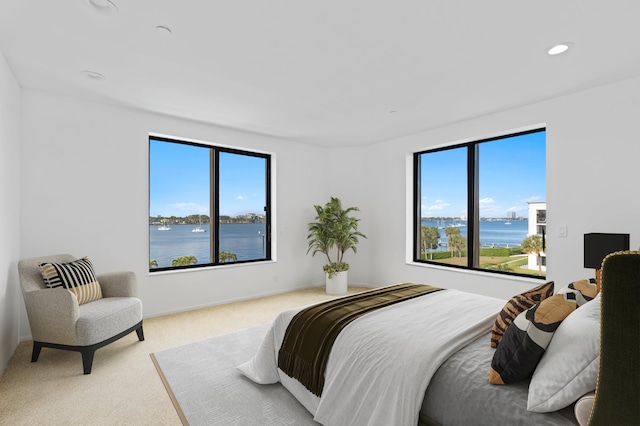 bedroom featuring multiple windows and light carpet