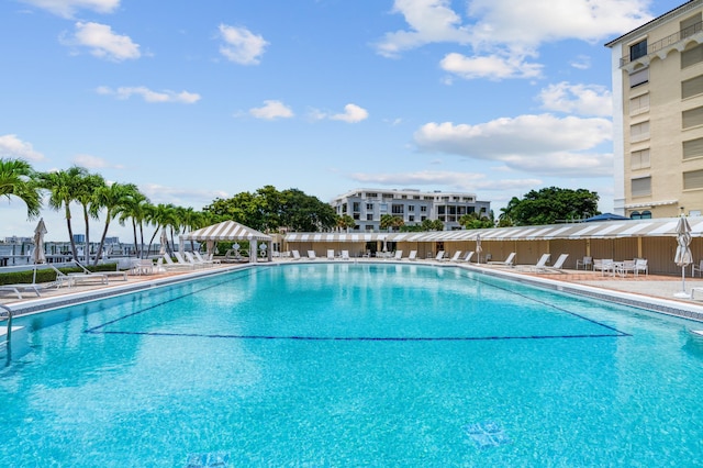 view of swimming pool with a patio