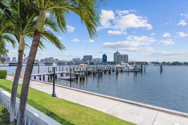 dock area featuring a water view