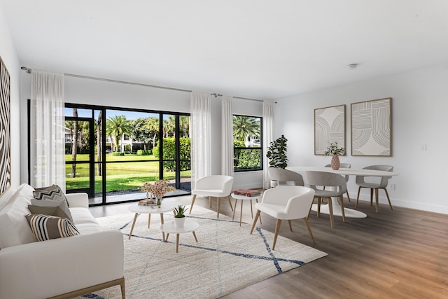 living room with hardwood / wood-style flooring