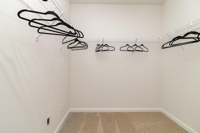 walk in closet featuring carpet floors