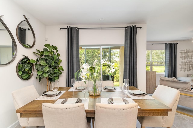 tiled dining room featuring plenty of natural light