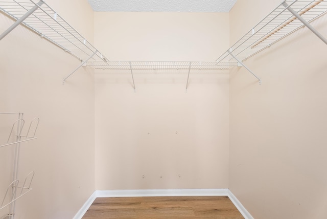 151 SW S River Dr Unit 203, Stuart, FL 34997 - spacious closet featuring light wood-style floors