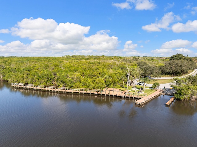 151 SW S River Dr Unit 203, Stuart, FL 34997 - bird's eye view of a heavily wooded area and a nearby body of water
