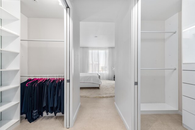 spacious closet featuring light colored carpet