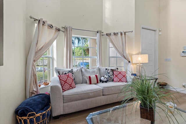 living room with hardwood / wood-style flooring