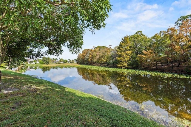 property view of water