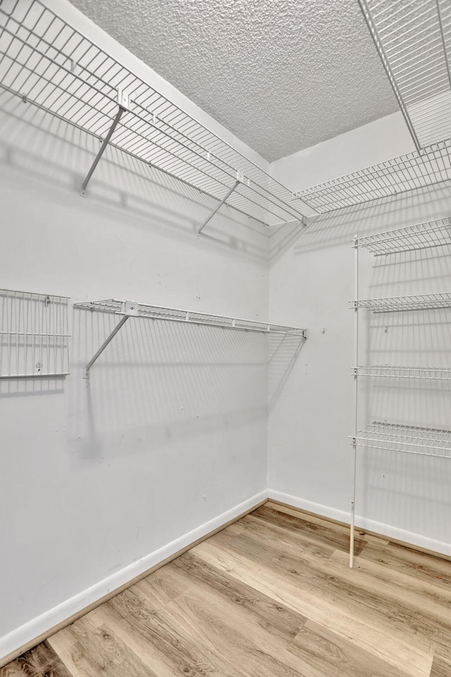 spacious closet featuring hardwood / wood-style floors