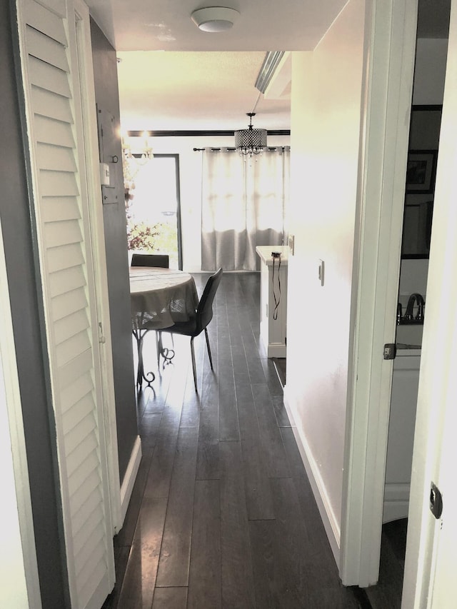 corridor featuring dark hardwood / wood-style floors and an inviting chandelier