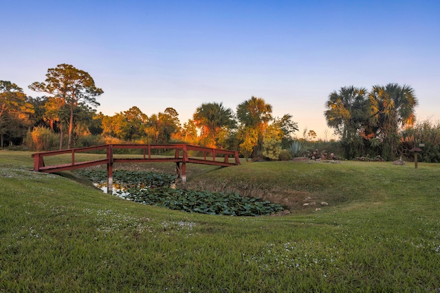 view of home's community with a lawn