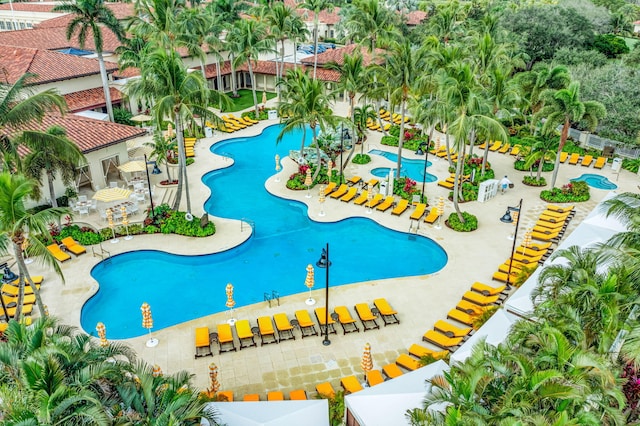 view of swimming pool