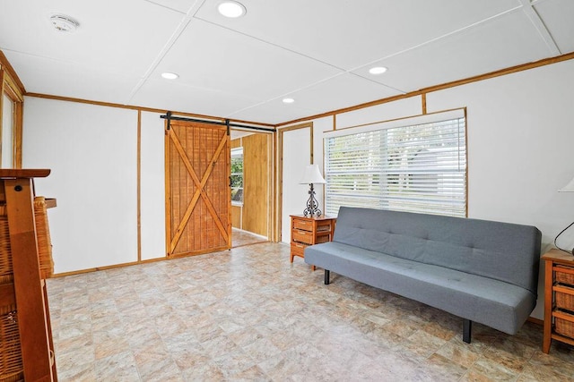 living area with a barn door