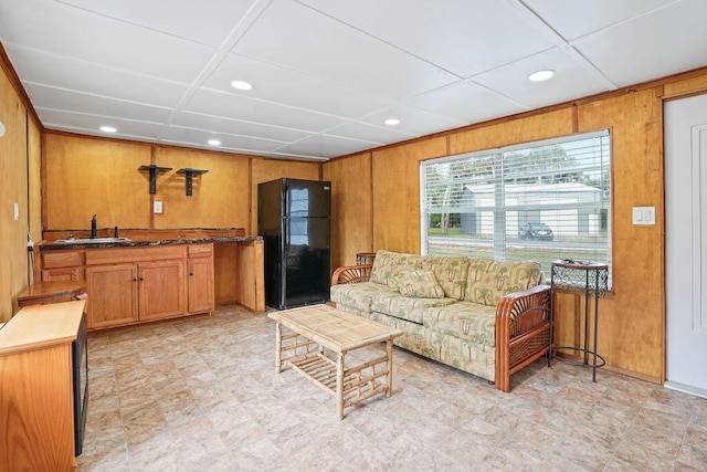 living room featuring sink and wooden walls