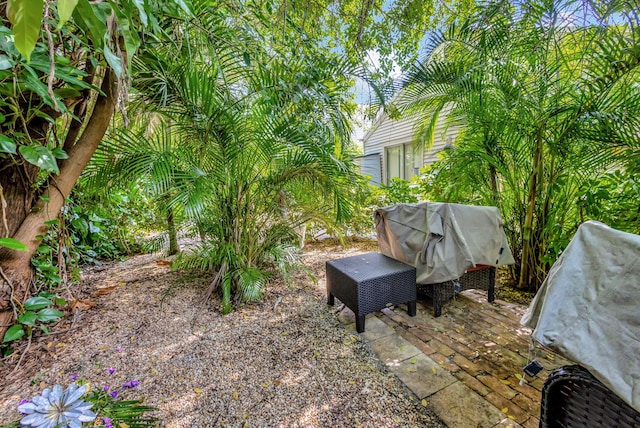 view of yard with a deck