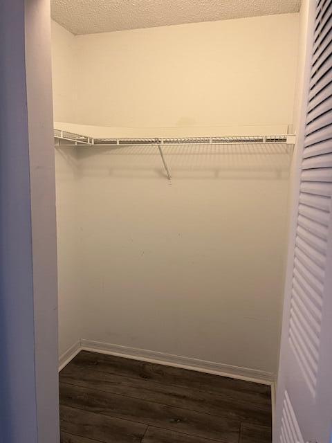 walk in closet featuring dark hardwood / wood-style flooring