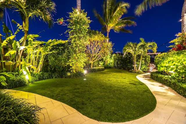 view of yard at night