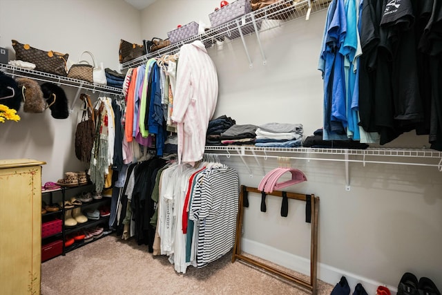 walk in closet with carpet floors