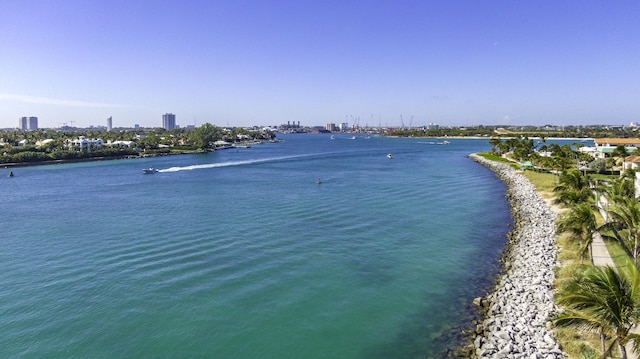 property view of water