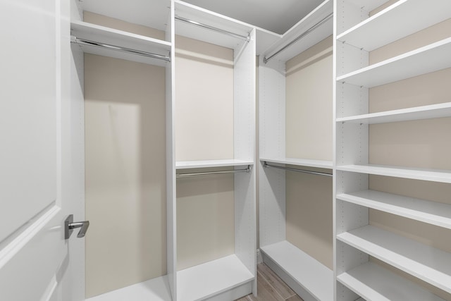 walk in closet with wood-type flooring