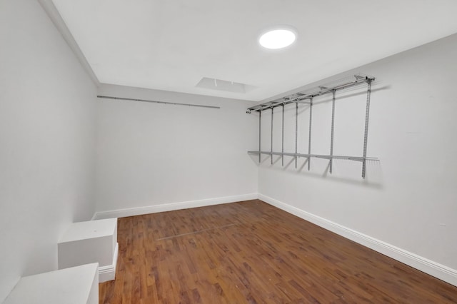 walk in closet featuring dark hardwood / wood-style flooring