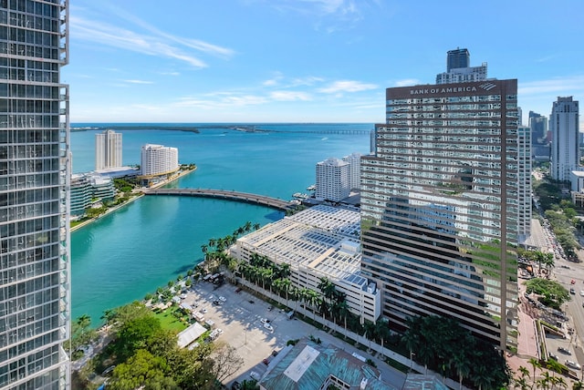 aerial view with a water view