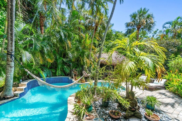 view of pool with an in ground hot tub