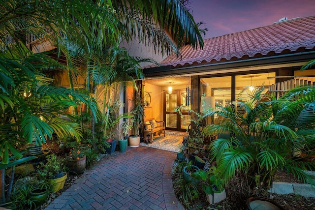 view of patio terrace at dusk