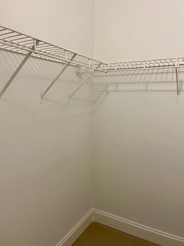 view of walk in closet