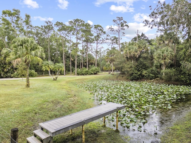 view of community with a water view and a yard