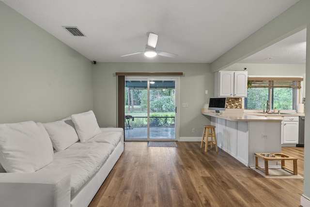 living room featuring ceiling fan, sink, and dark wood-type flooring